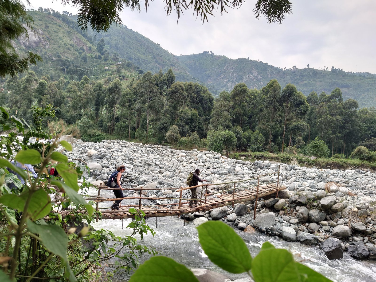 Ruwenzori_Gebirge_Uganda